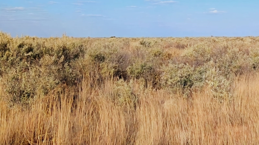 Commercial Property for Sale in Barkly West Northern Cape